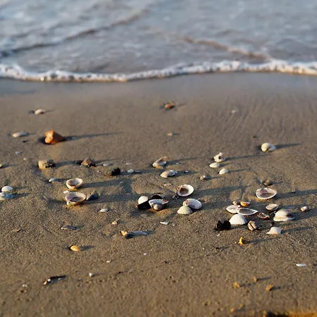 Relaxing Beachside - Beahost *